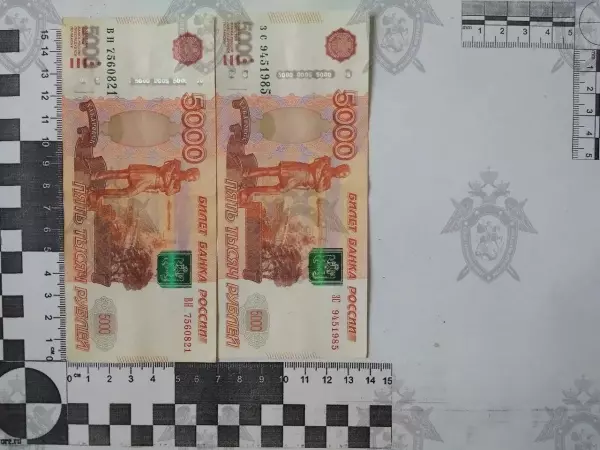 Фото к материалу: Экс-сотрудник ГАИ Новошахтинска предстанет перед судом за взятку от пьяного водителя