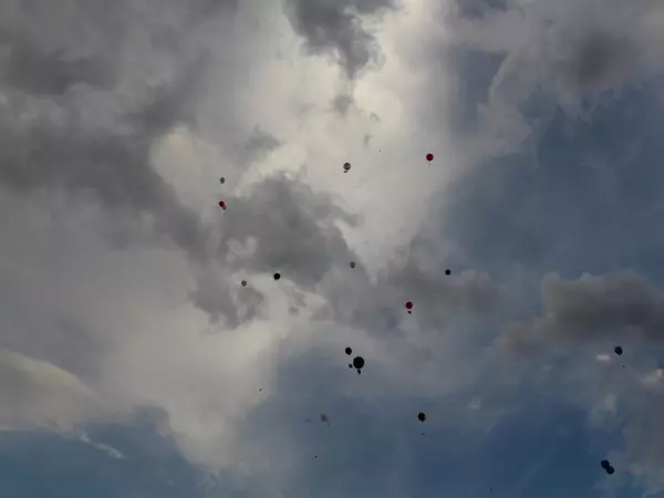 Фото к материалу: В Ростовской области уничтожили больше половины дронов, атаковавших страну