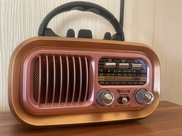 Фото к материалу: На короткой рабочей неделе на Дону ожидаются массовые сбои в работе ТВ и радио