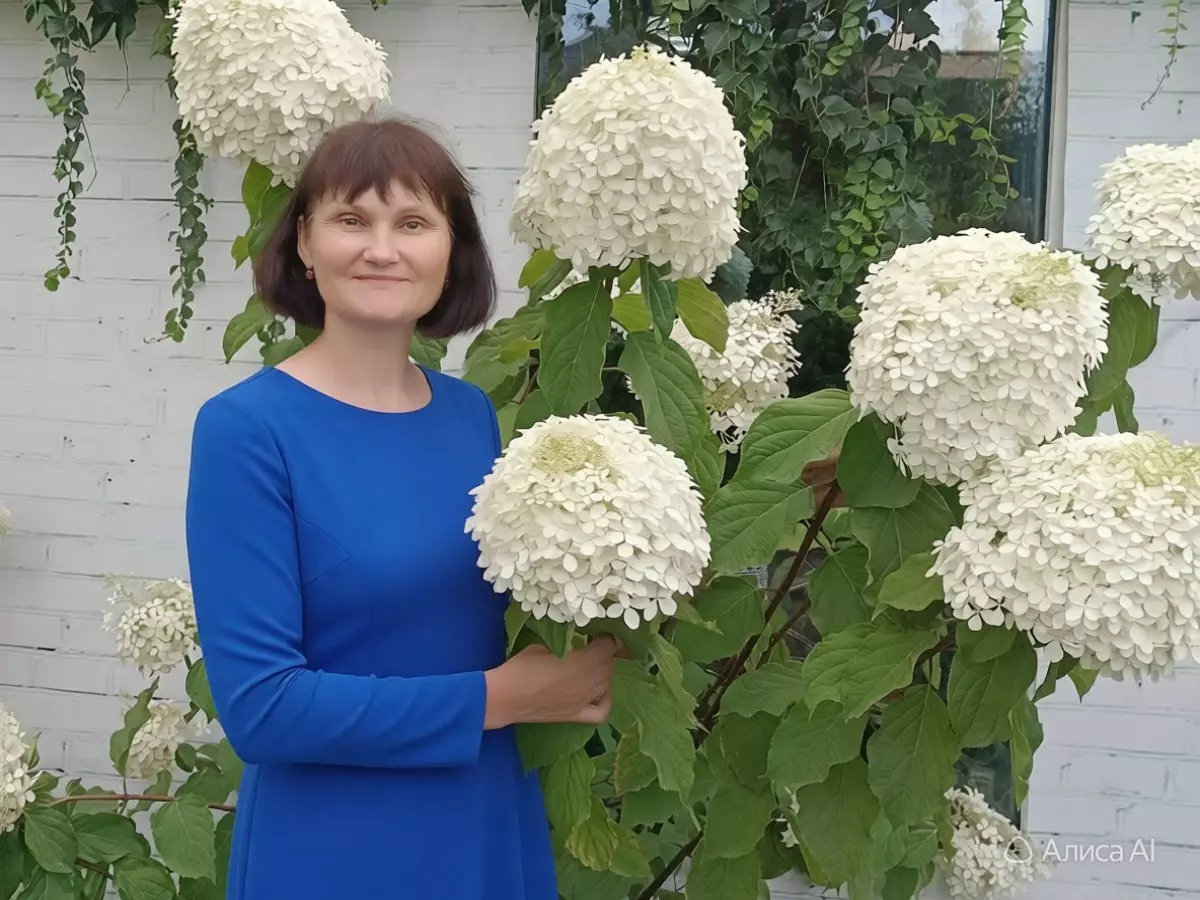 Дачница из Ростовской области рассказала семь ошибок при выборе метельчатой гортензии