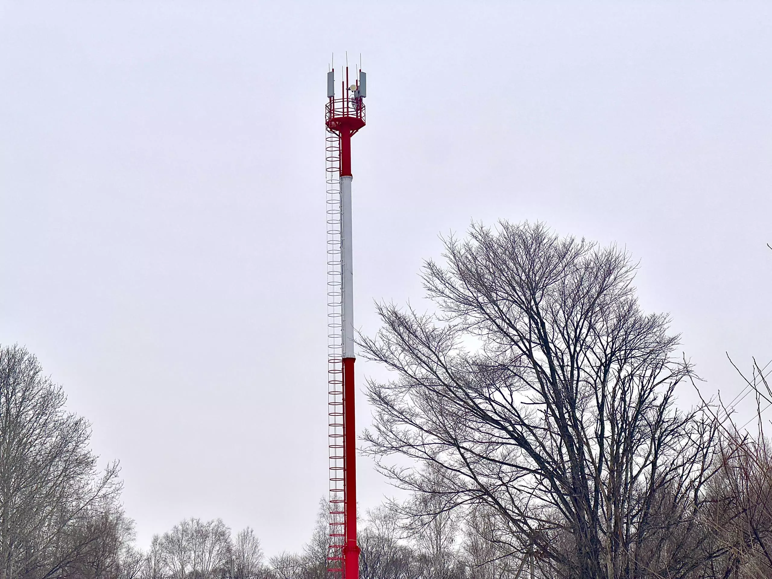 МТС улучшила связь в одной из старейших казачьих станиц на Дону