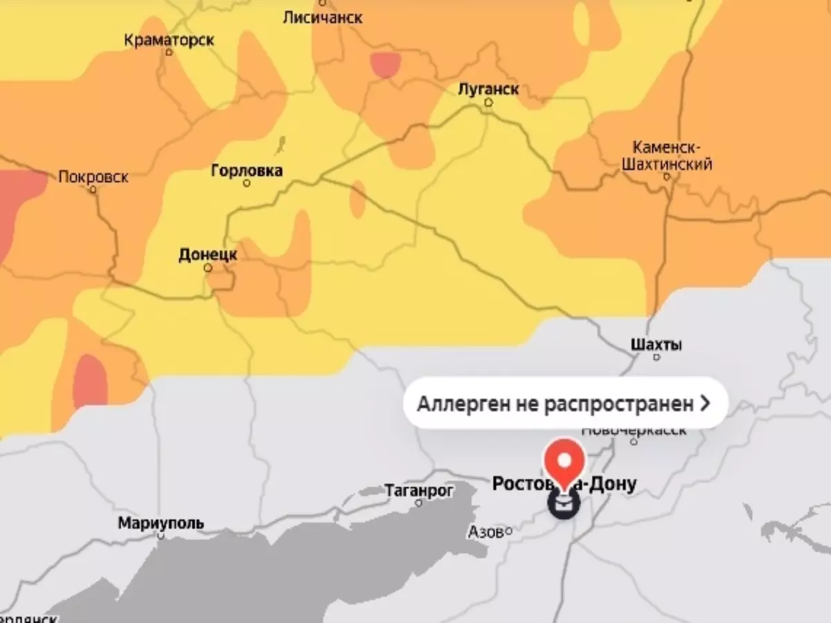 В Ростовской области зафиксировали активность пыльцы березы