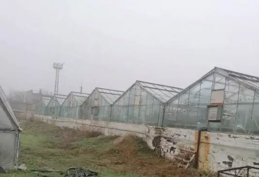 За 125 миллионов рублей под Ростовом продают теплицы и земельный участок
