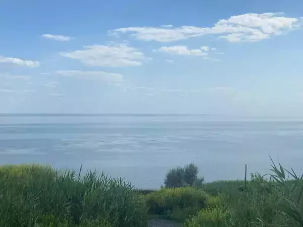 В Ростове в ближайшие сутки ожидается ветровой сгон воды