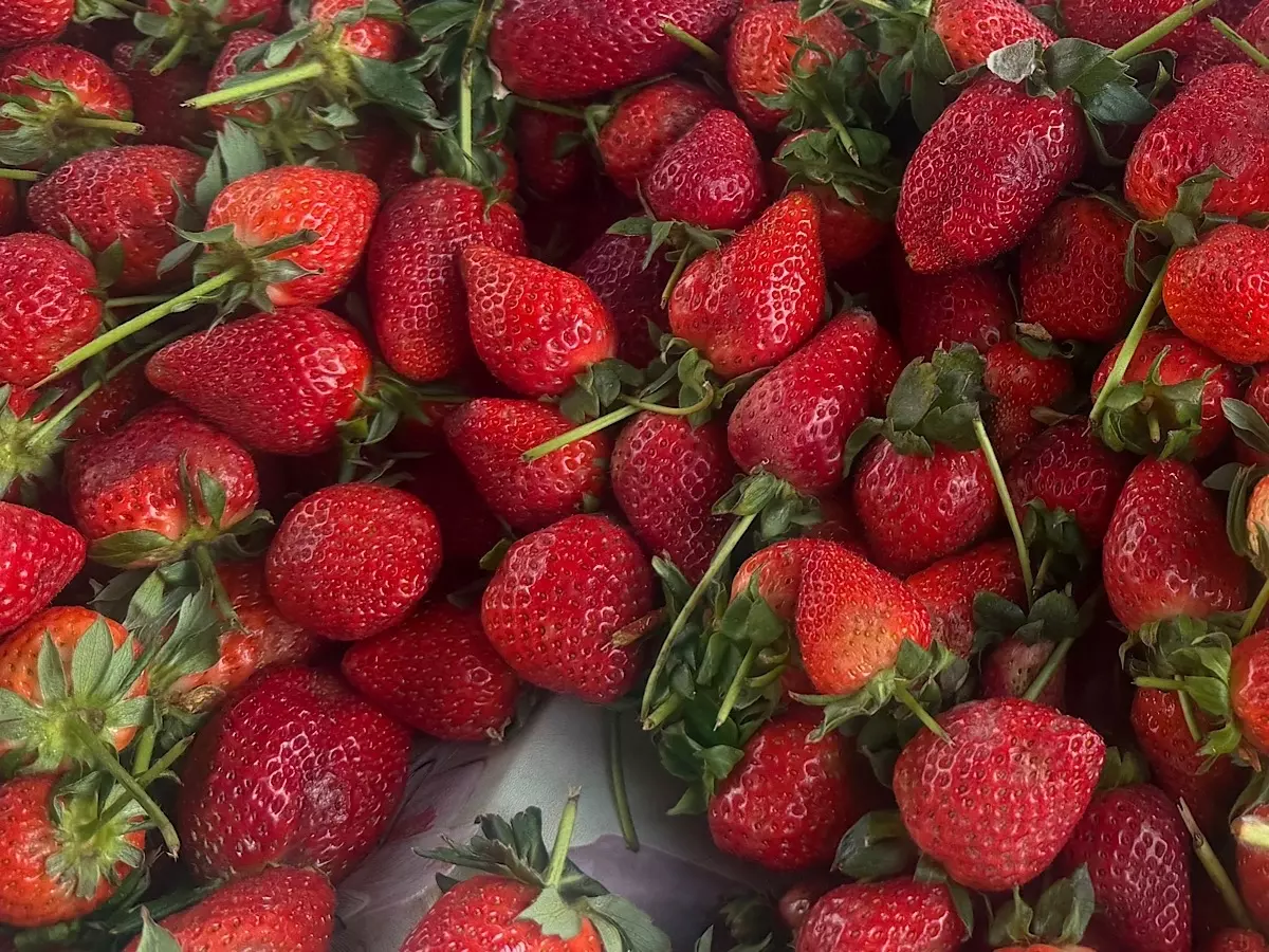 Как выбрать вкусную и спелую клубнику, рассказала нутрициолог из Ростова