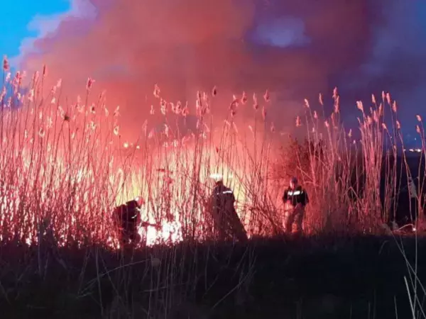 В Ростовской области за сутки потушили 8 техногенных пожаров