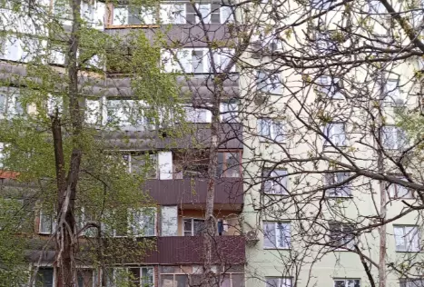Сразу несколько гигантских сухих деревьев опасно нависают над тротуарами в Ростове