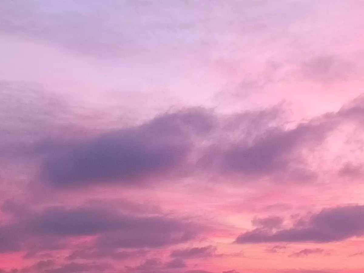 Глава Таганрога предупредила о бесплотной опасности в городе