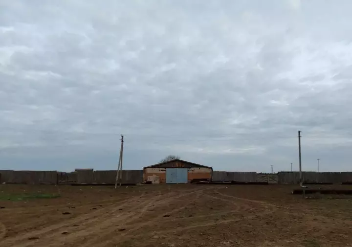 В хуторе Ростовской области продают животноводческий комплекс с землями и скотом