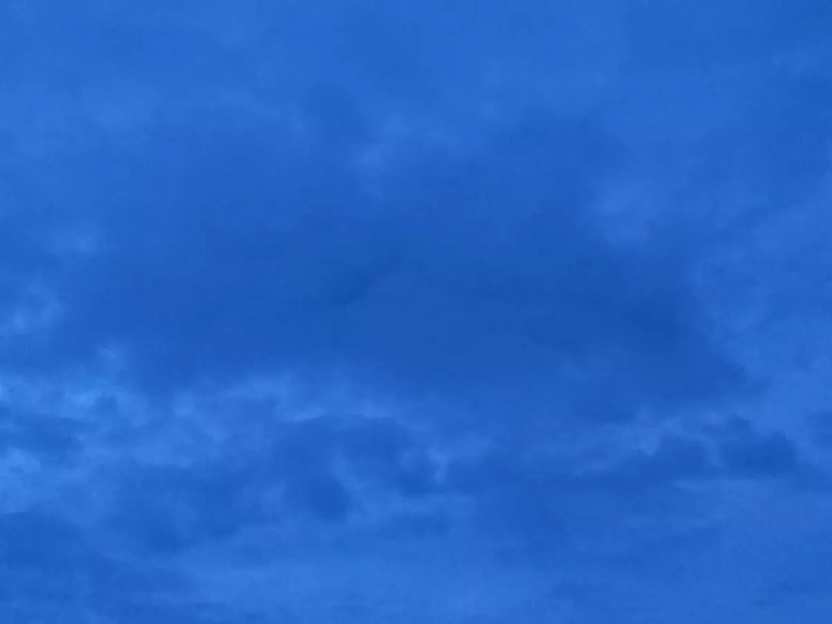 Владимир Путин объявил пасхальное перемирие