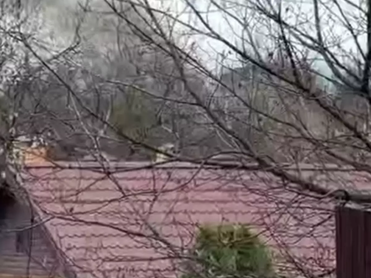 В Ростове на Западном сгорел гараж