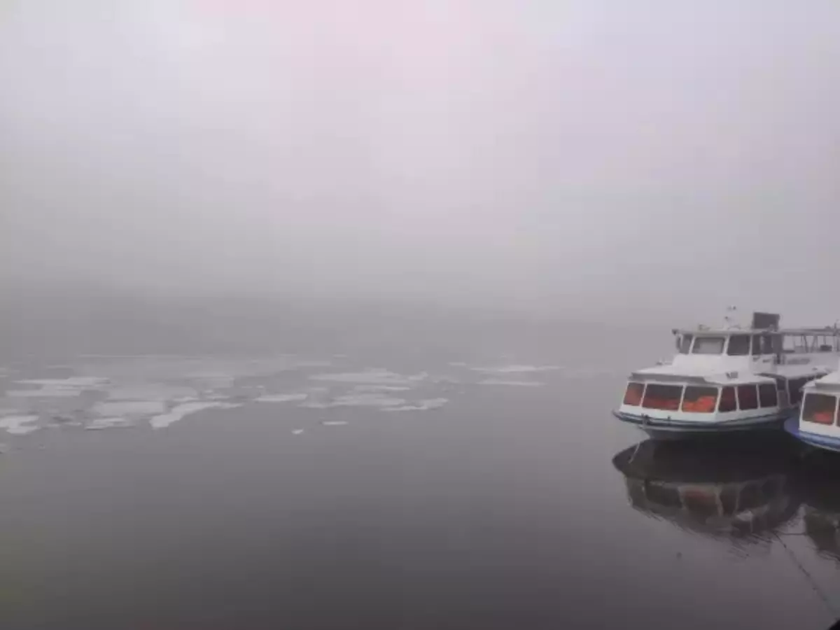 Плотный туман накрыл дороги Ростовской области утром 1 апреля