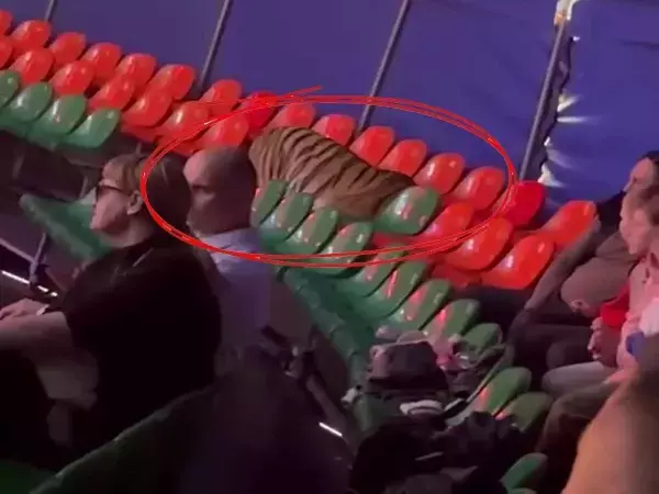 К расследованию уголовного дела после ЧП в цирке Ростова привлекут зрителей