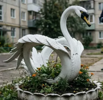 Ростовчанам напомнили о штрафах за лебедей из покрышек во дворах