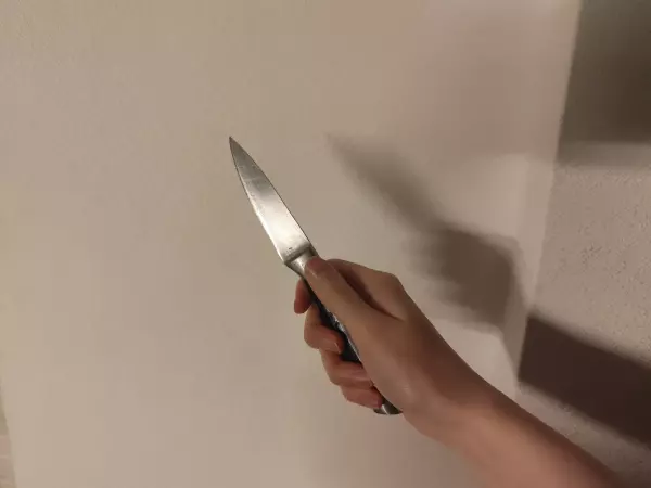 Фото к материалу: Зашел к сыну с ножом: в Таганроге осудили женщину за тяжкий вред здоровью мужа