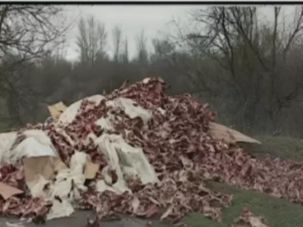 Фото к материалу: Донского предпринимателя оштрафовали за горы сырого мяса на трассе под Ростовом