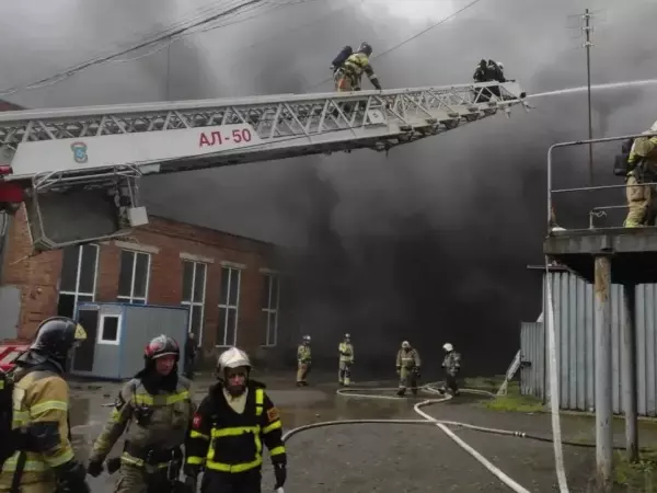 Фото к материалу: За сутки в Ростовской области произошло 20 пожаров