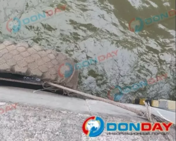 Фото к материалу: Из-за сильного ветра в Дону в Ростовской области поднялся уровень воды