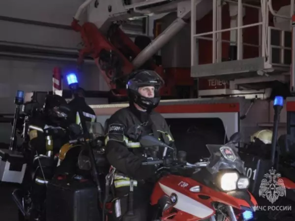 Фото к материалу: За сутки в Ростовской области произошло 10 пожаров