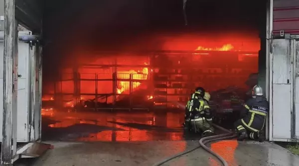 Фото к материалу: За сутки в Ростовской области потушили семь пожаров