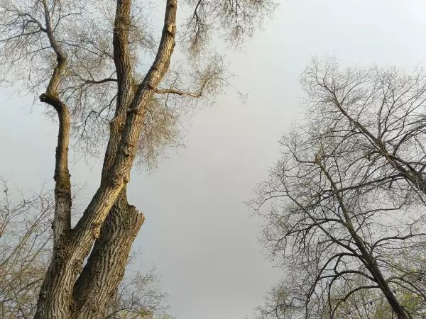 Фото к материалу: Шквалистый ветер накроет Ростовскую область 10 апреля