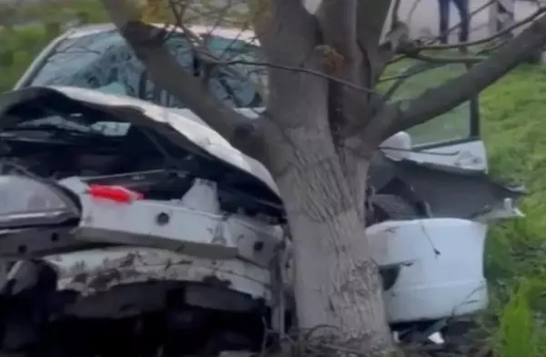 Фото к материалу: В Ростовской области двое детей пострадали в ДТП с иномаркой