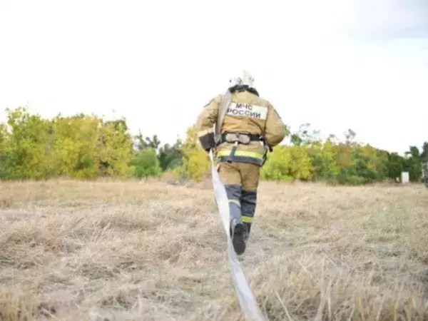 Фото к материалу: В Ростовской области спасатели проведут более 30 выжиганий сухой растительности