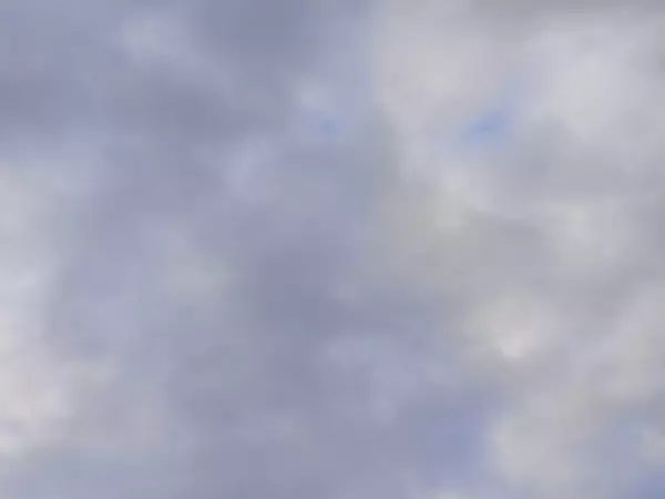 Фото к материалу: В небе над Ростовской областью перехватили БПЛА