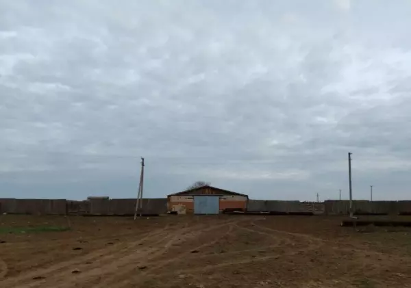 Фото к материалу: В хуторе Ростовской области продают животноводческий комплекс с землями и скотом