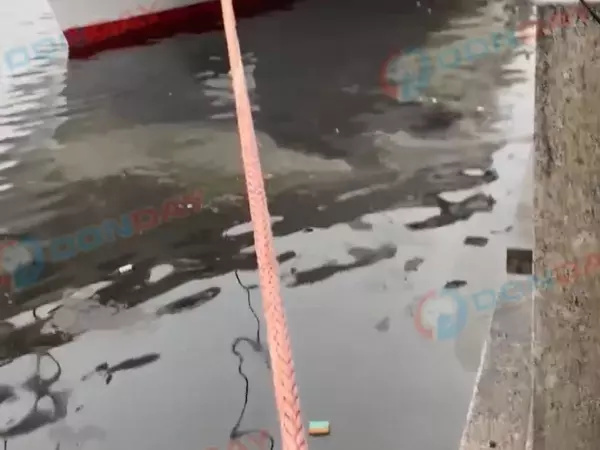 Фото к материалу: В Ростове масляное пятно растеклось в реке Дон