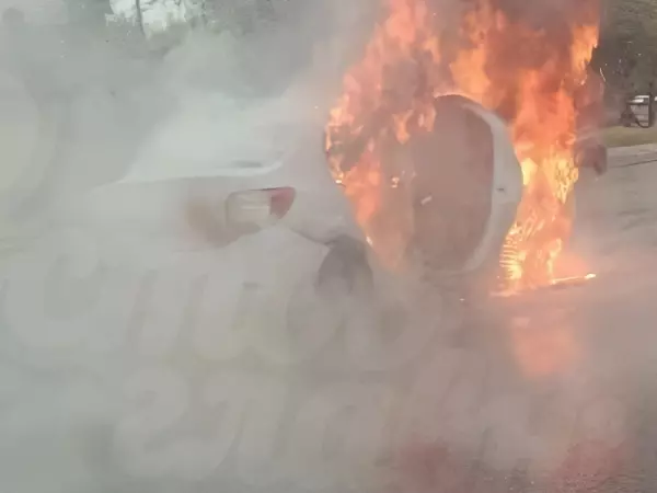 Фото к материалу: Легковушка сгорела дотла утром 19 апреля на Вавилова в Ростове