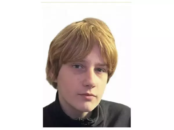 Фото к материалу: В Ростовской области ищут пропавшего без вести 16-летнего юношу из Геленджика