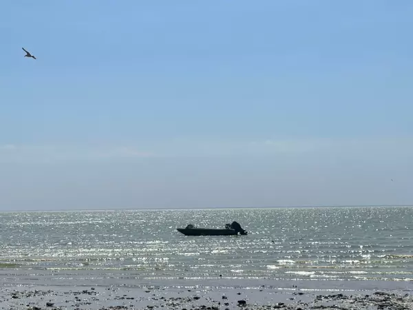 Фото к материалу: Пестицидов в Таганрогском заливе больше, чем в Азовском море