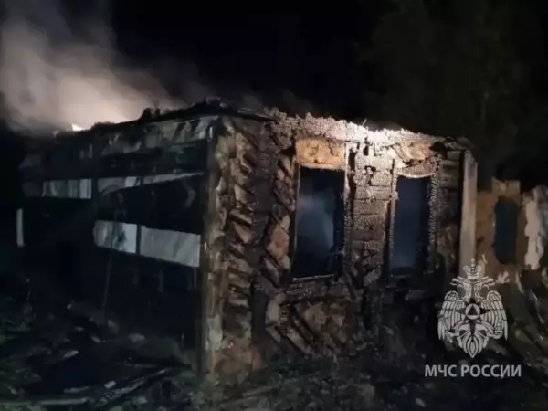 Фото к материалу: В Ростовской области 98-летняя женщина погибла при пожаре в доме