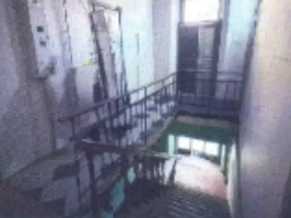 Фото к материалу: Власти Ростова вновь выставили на торги помещение доходного дома Марии Бабиевой