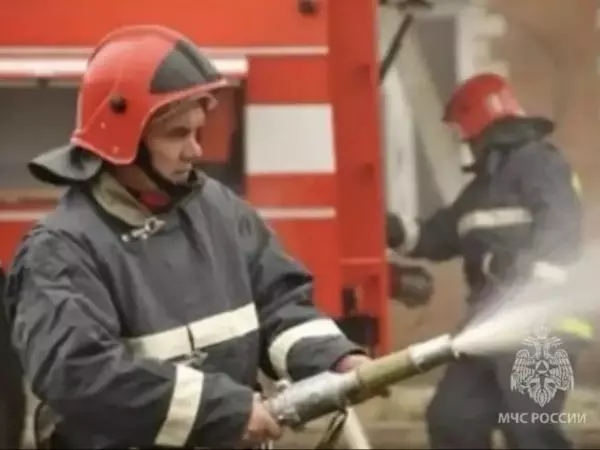 Фото к материалу: В Ростовской области дотла сгорел автомобиль