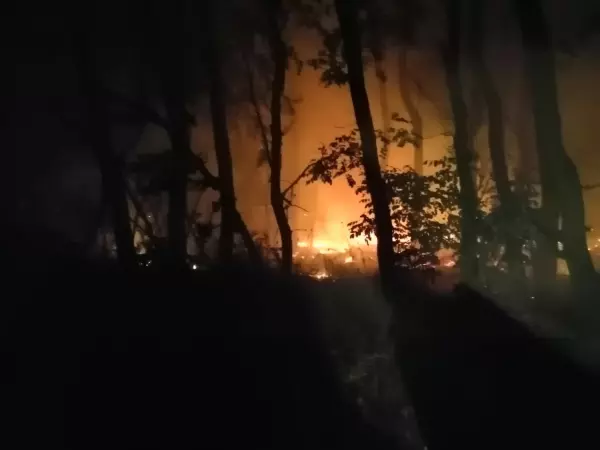 Фото к материалу: Ростовская область попала в топ регионов по опасности пожаров в мае