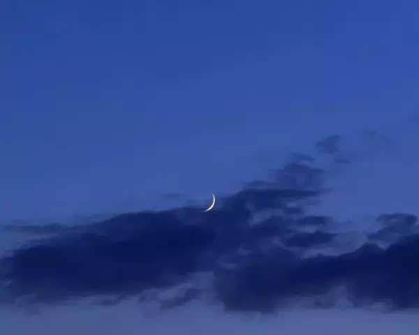 Фото к материалу: Беспилотную опасность объявили в ночь на 28 апреля в Ростовской области