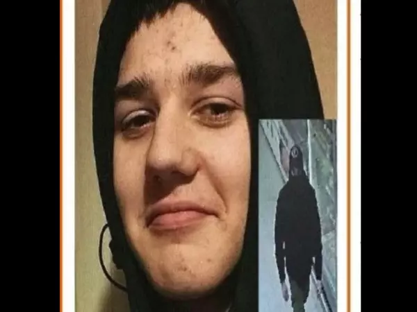 Фото к материалу: В Ростовской области разыскивают пропавшего подростка из Тулы