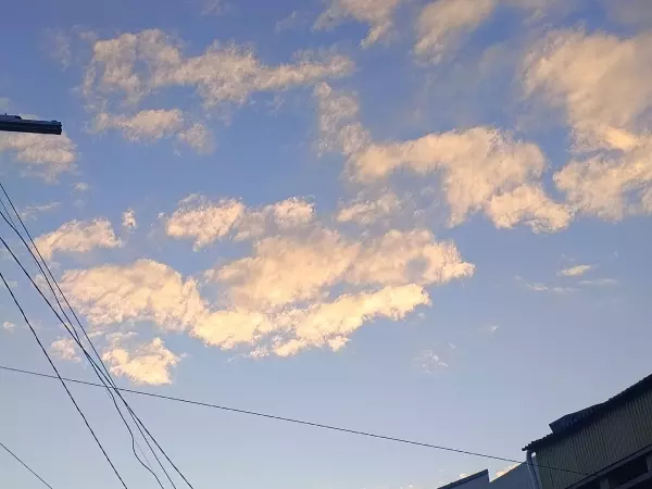 Фото к материалу: Мощный ветер до 20 метров в секунду накроет Ростовскую область