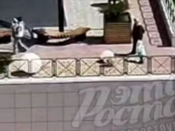 Фото к материалу: В Ростове девушка разбилась насмерть, выпав из окна многоэтажки