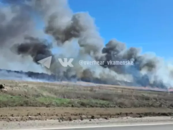 Фото к материалу: Мощное задымление в Каменском районе произошло из-за планового выжигания сухостоя