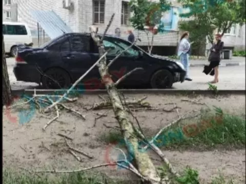 Ураганный ветер в Ростовской области массово валит деревья