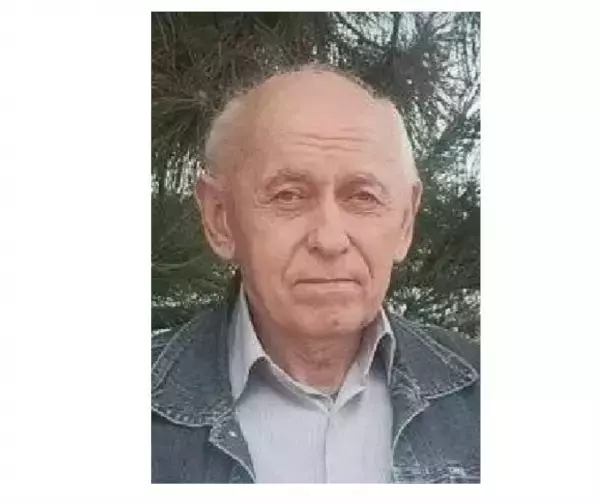 В Ростовской области найден живым 72-летний мужчина