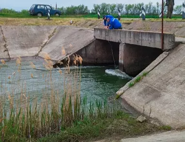 Нересту рыб в одном из водохранилищ Дона помешали резкие перепады температур