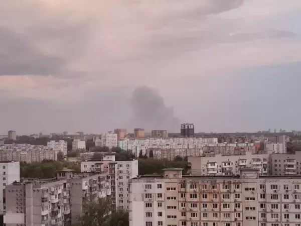 Фото к материалу: Пожар на левом берегу Дона распространился на 2000 квадратрых метров