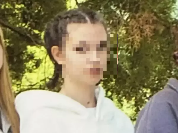 Фото к материалу: Пропавшую 17-летнюю девушку в Каменском районе нашли живой 