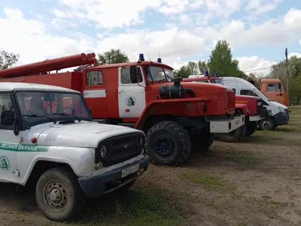 Фото к материалу: На Дону усилили патрулирование лесов из-за угрозы пожаров