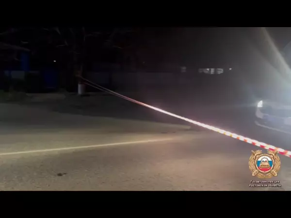 Фото к материалу: В Ростовской области пол колесами иномарки погиб пешеход