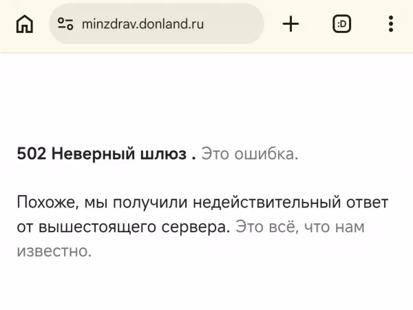 Фото к материалу: Правительственные сайты Ростовской области парализовал масштабный сбой